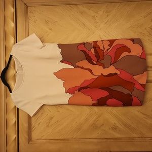 Anne Taylor Loft Size 2 Short Sleeve Mini Dress